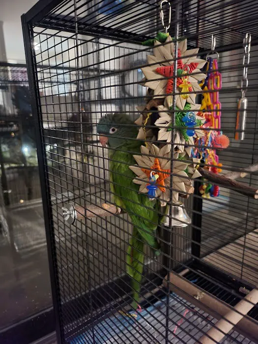 Windcrest Animal Hospital: Dejager Lorraine DVM 3