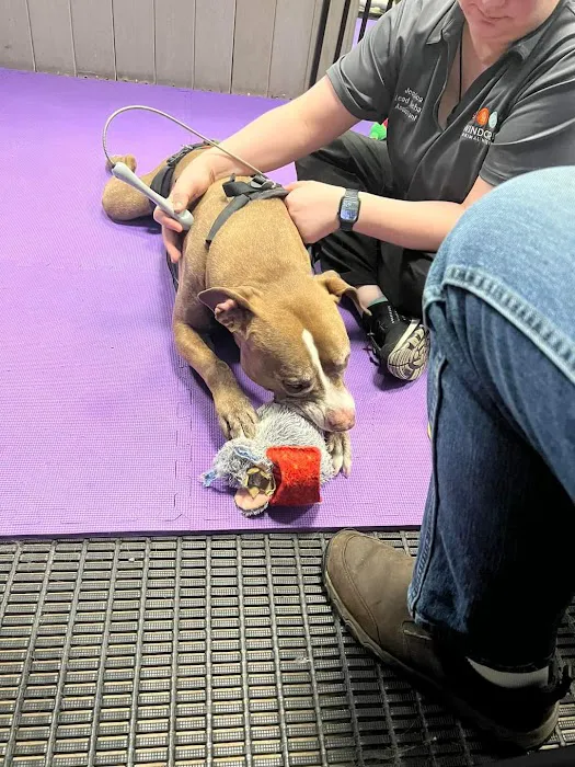 Windcrest Animal Hospital: Dejager Lorraine DVM 2