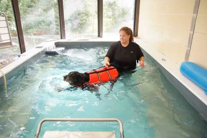 Windcrest Animal Hospital 12