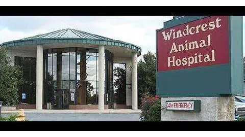 Windcrest Animal Hospital 12