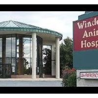Windcrest Animal Hospital ico