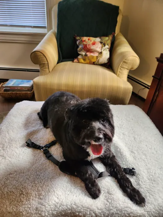 Cypress Veterinary Clinic 7