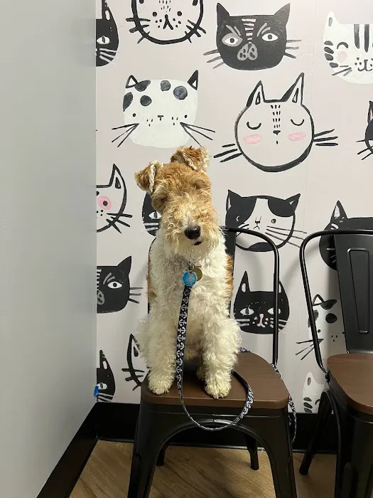 Cypress Veterinary Clinic 6