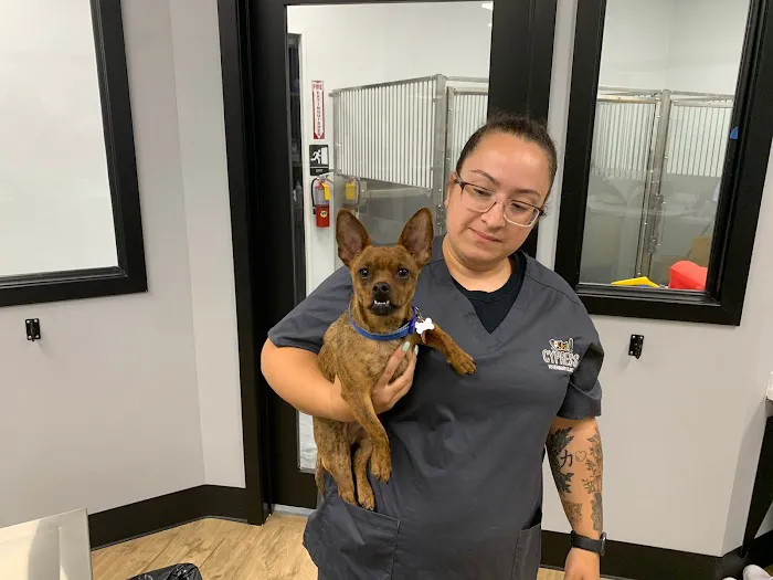 Cypress Veterinary Clinic 2