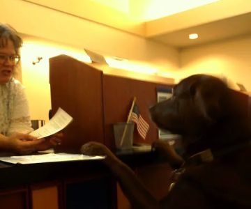 Kennett Square Veterinary Hospital