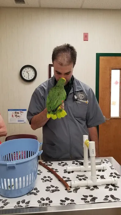 Hockessin Animal Hospital 12