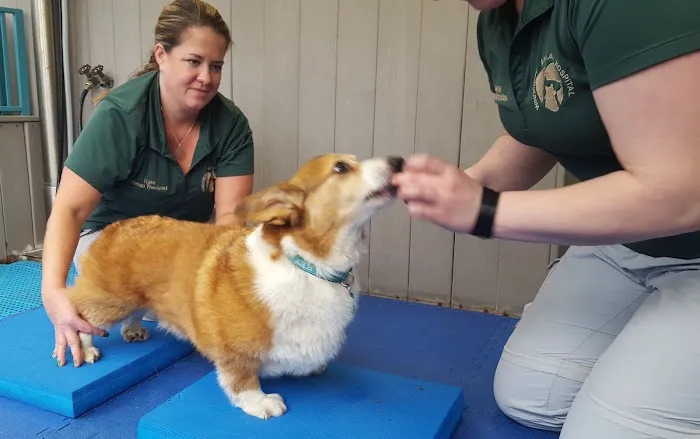 Hockessin Animal Hospital 12