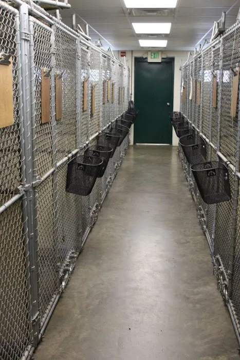 Hockessin Animal Hospital 12