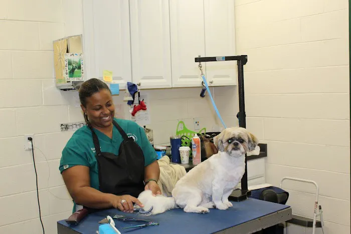 Hockessin Animal Hospital 12