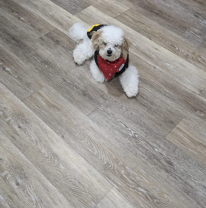 Banfield Pet Hospital 8