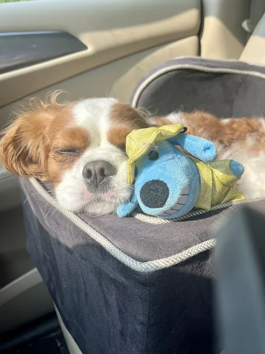 Banfield Pet Hospital 1