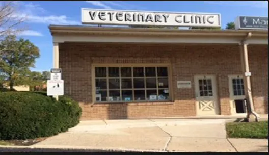 The Animal Clinic 1