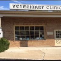 The Animal Clinic ico