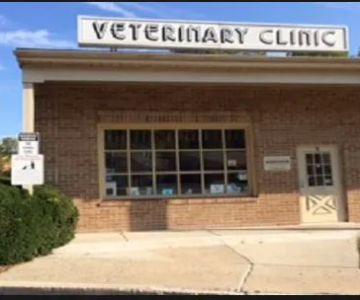 The Animal Clinic