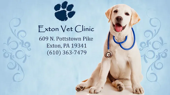 Exton Vet Clinic 2