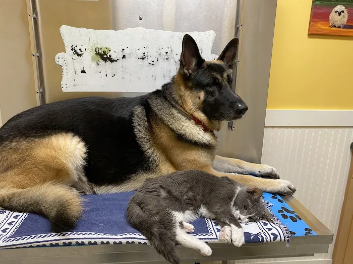 Exton Vet Clinic 6