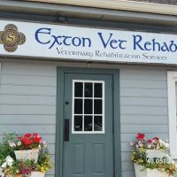 Exton Vet Clinic ico