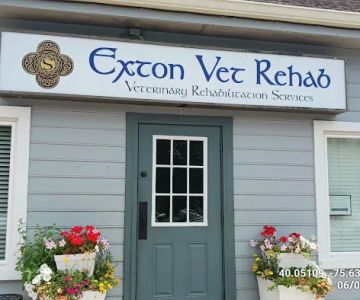 Exton Vet Clinic