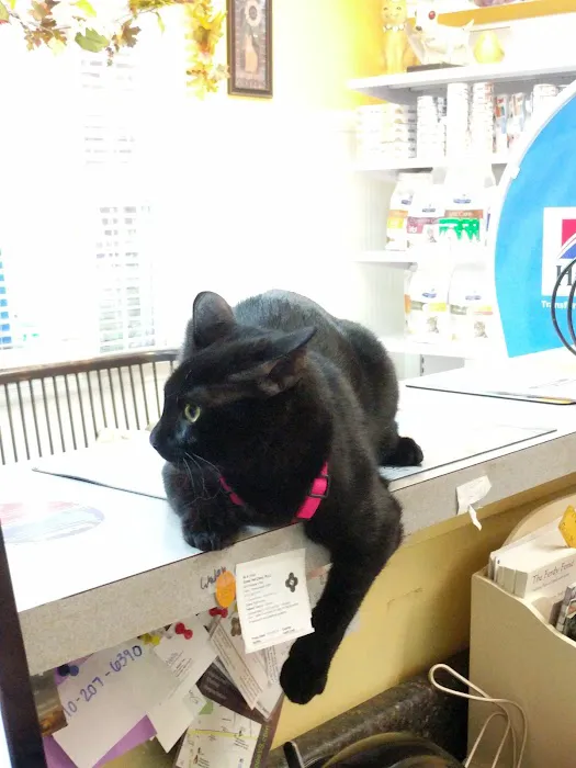 Exton Vet Clinic 8