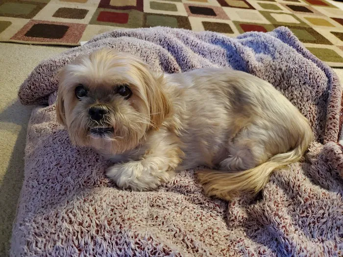 Sanatoga Animal Hospital, LLC 9