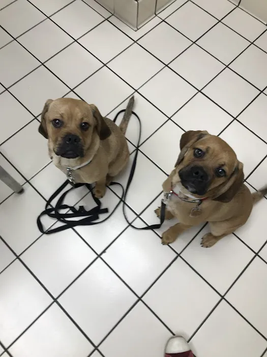 Coventry Animal Hospital 5