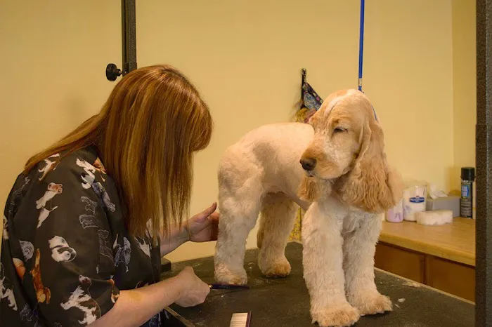 Coventry Animal Hospital 4