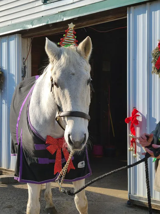Colts Neck Equine Associates 1
