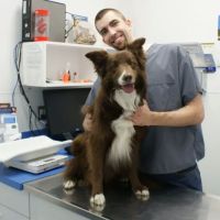 Twin Rivers Animal Hospital ico