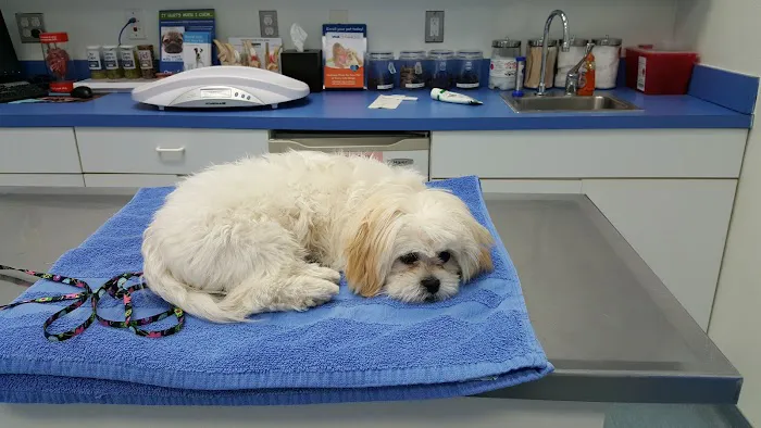 Twin Rivers Animal Hospital 10