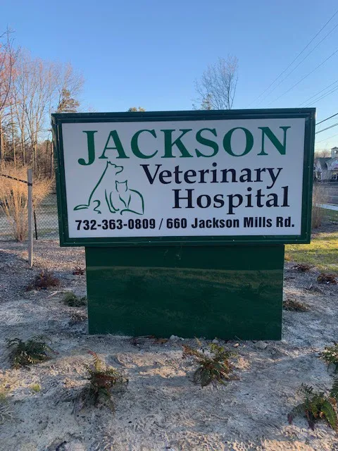 Jackson Veterinary Hospital 3