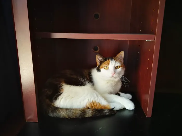 Raintree Veterinary Hospital 5