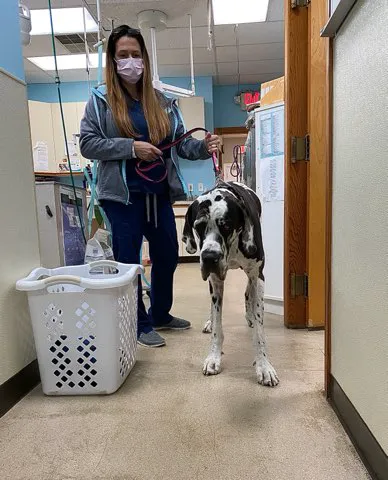 Raintree Veterinary Hospital 4