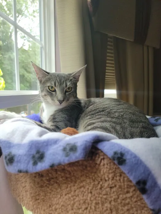Raintree Veterinary Hospital 7