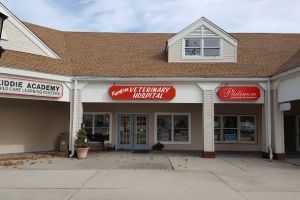 Raintree Veterinary Hospital