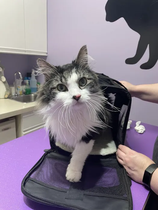 Raintree Veterinary Hospital 9