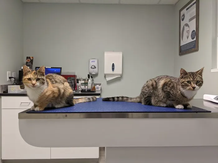 Lawrence Animal Hospital 10