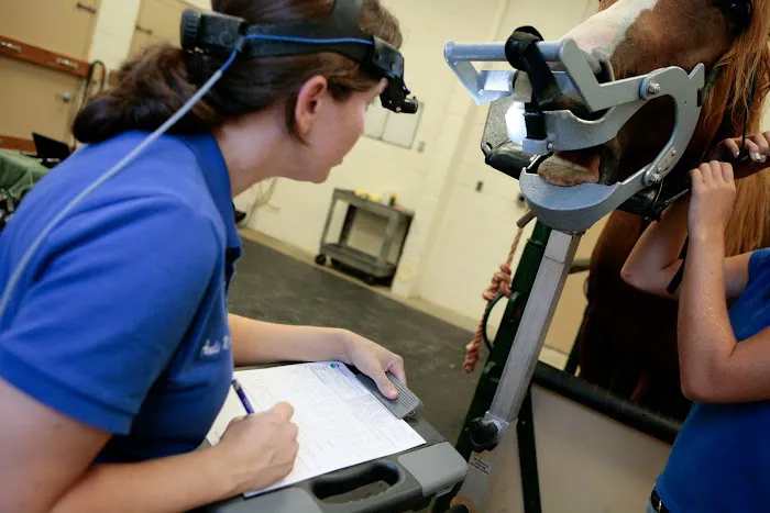 Garden State Equine Veterinary Dentistry, LLC 2