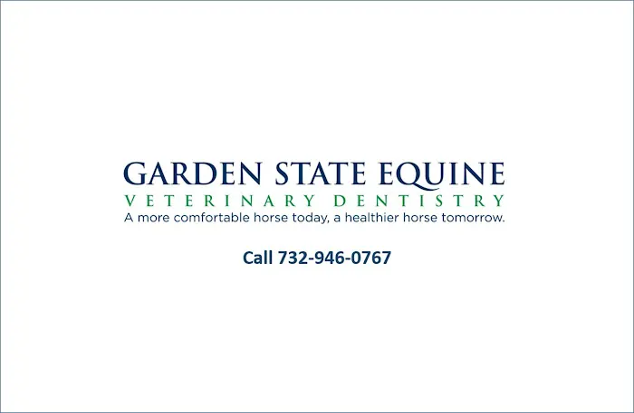 Garden State Equine Veterinary Dentistry, LLC 4