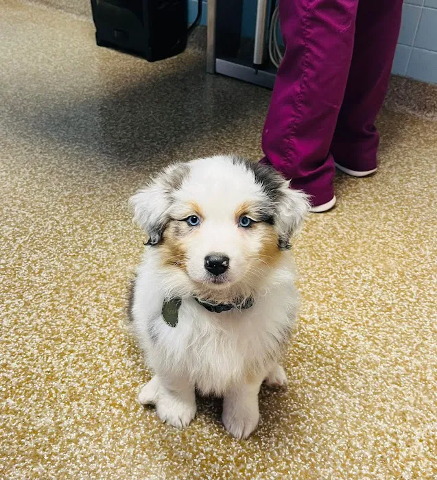 Cranbury Animal Hospital 10