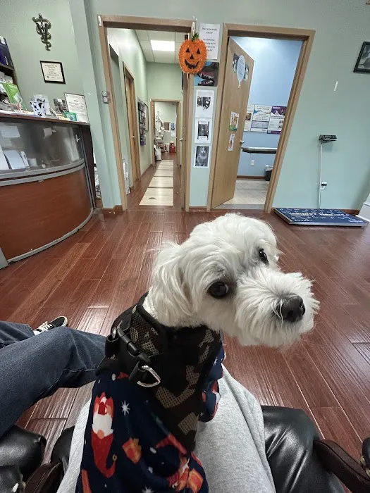 East Windsor Animal Hospital 9