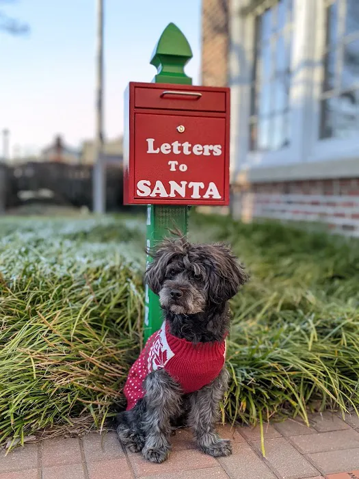 East Windsor Animal Hospital 10