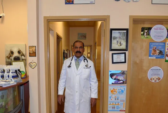 East Windsor Animal Hospital 4