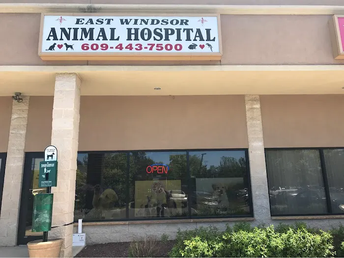 East Windsor Animal Hospital 3