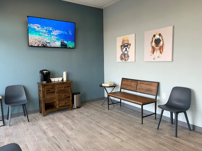 Vetmetis Veterinary Urgent Care and Wellness 3