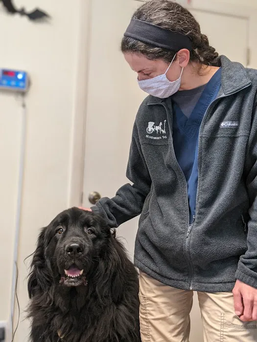 HomeCare Veterinary Clinic 6