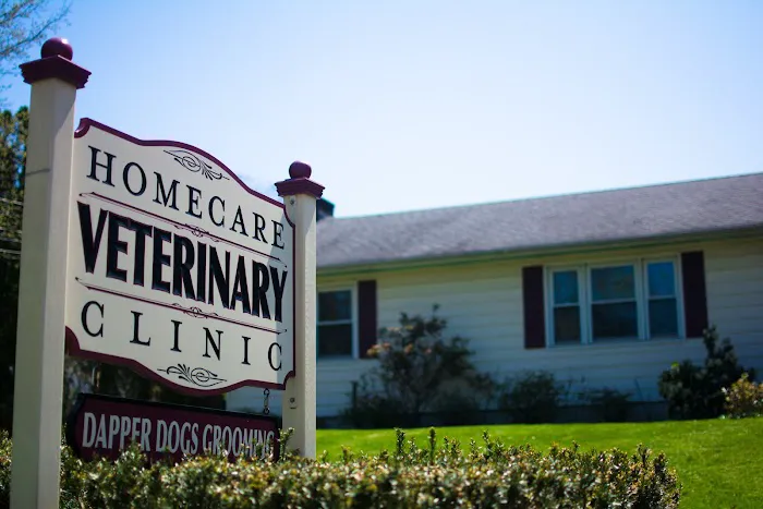 HomeCare Veterinary Clinic 1