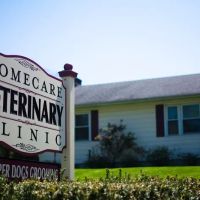 HomeCare Veterinary Clinic ico