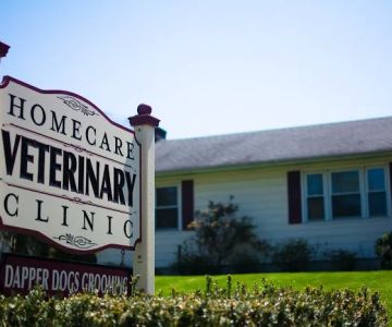 HomeCare Veterinary Clinic