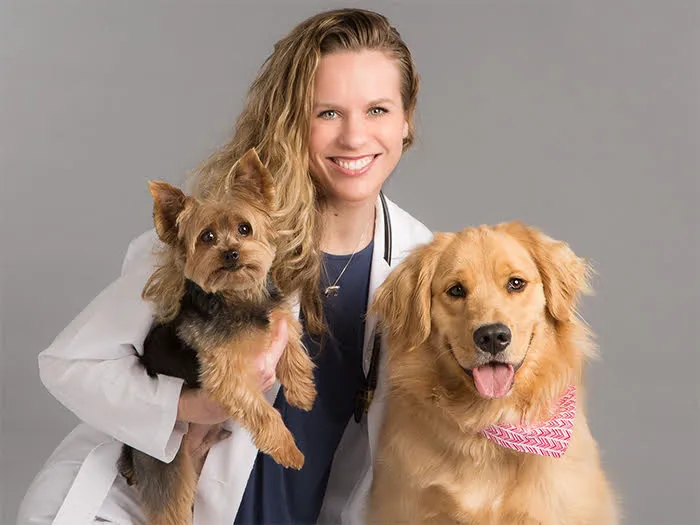 HomeCare Veterinary Clinic 4