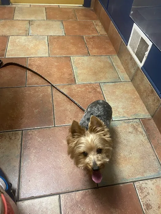 VCA County Veterinary Hospital 4
